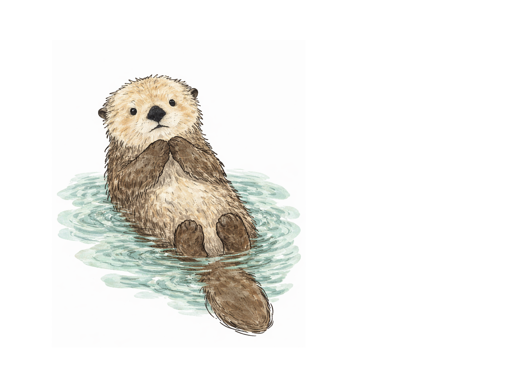 Illustration of a sea otter from Dali Forest